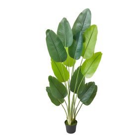 Artificial Bird of Paradise 6 ft Tall, Fake Tropical Plants with with 13 Trunks & White Pot, Faux Floor Silk Tree
